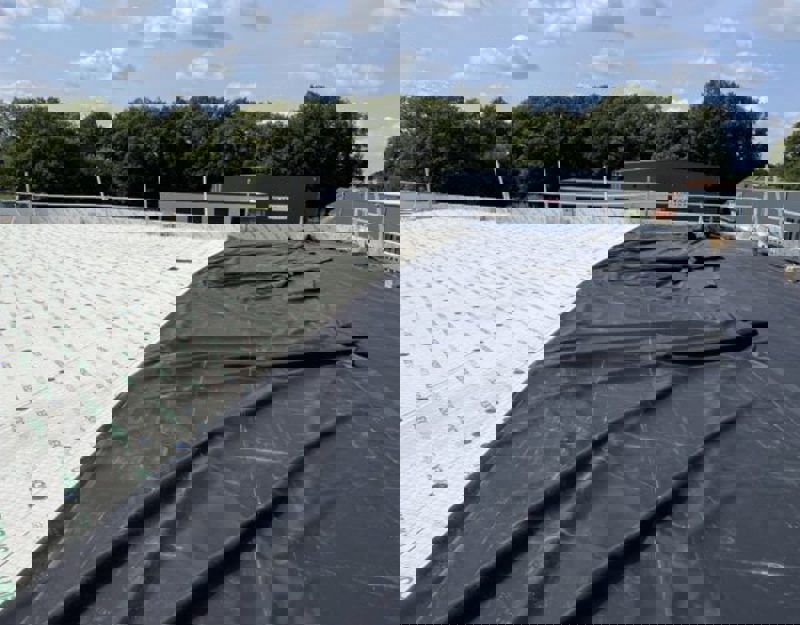 IMG 1427 600X450